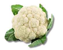 Fulcopy (Cauliflower)