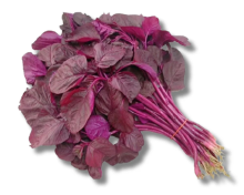Lal Shak (Red Amaranth Spinach)