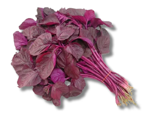 Lal Shak (Red Amaranth Spinach)