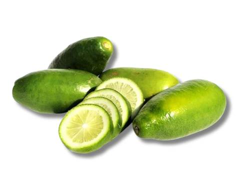 Lomba Lebu (Lemon Long)